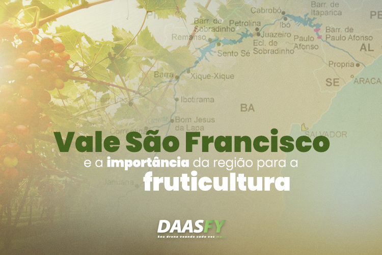 Vale do São Francisco e a importância da região para a fruticultura.