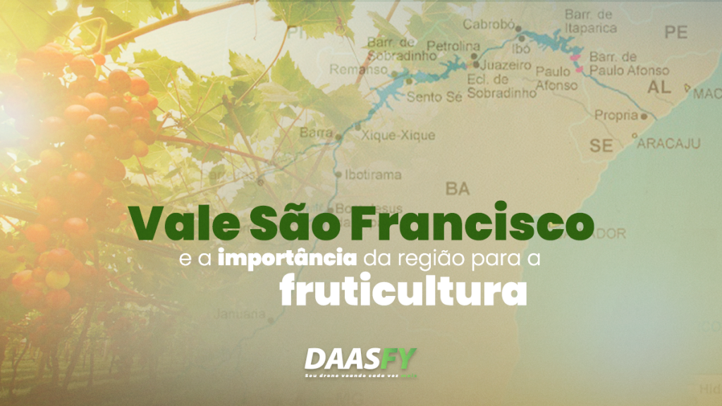 Arte de blogpost mostrando o mapa do Brasil e indicando onde fica o Vale do São Francisco e sobre sua importância na fruticultura.