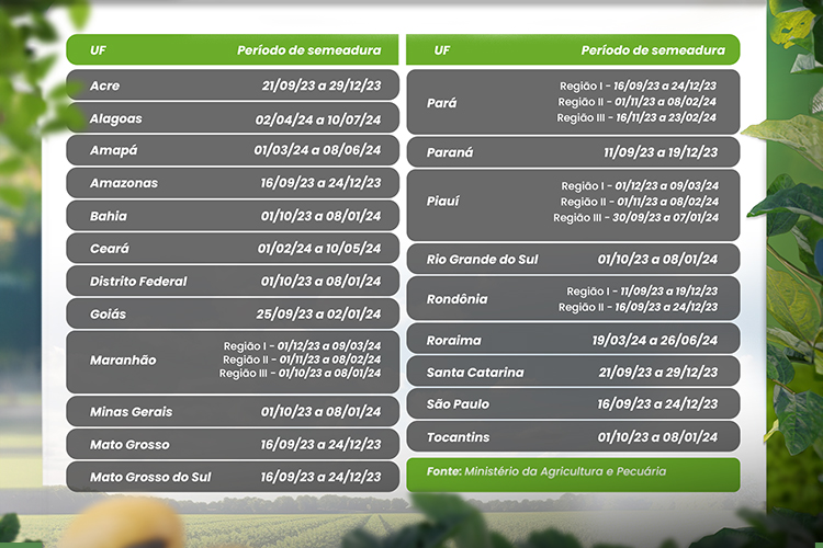 Calendário da semeadura da soja separada por estados brasileiros.